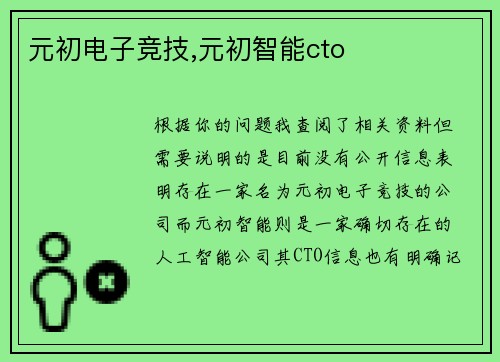 元初电子竞技,元初智能cto